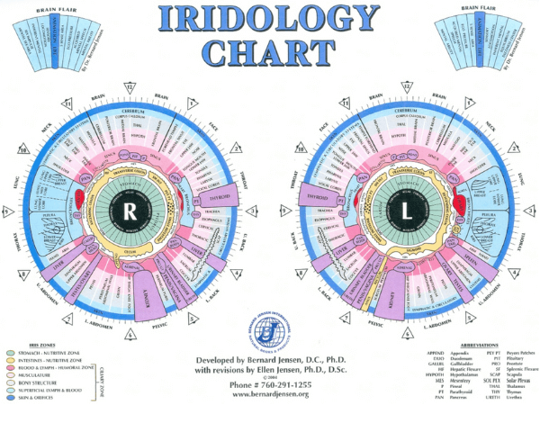what is iridology