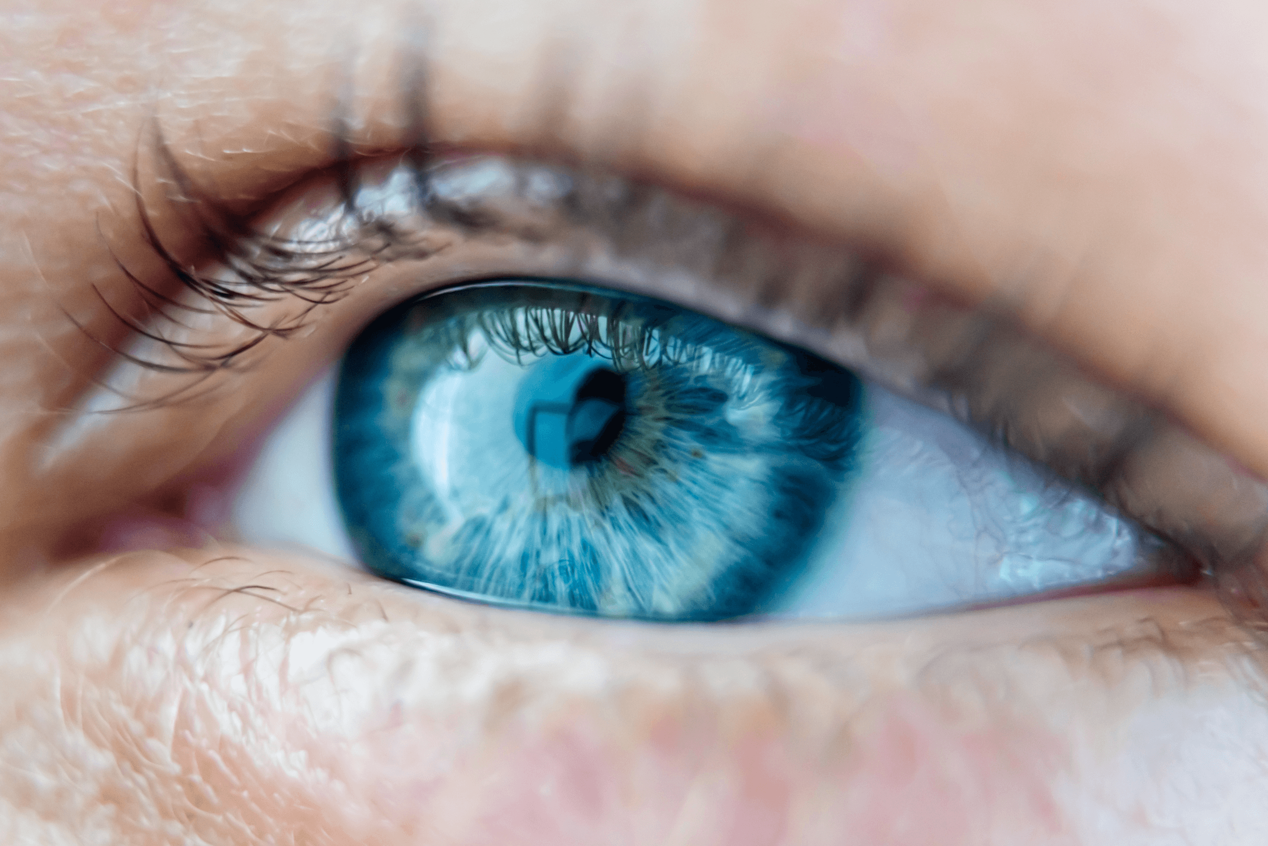 What Is Iridology How Does Iridology Work Iridology Surrey Hills