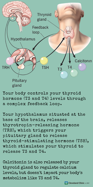 What is hypothyroidism