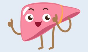 Love your Liver Program