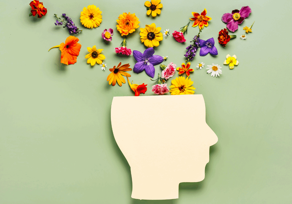 How to choose a naturopath